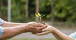 Educación ambiental como herramienta contra el cambio climático: los casos de Argentina, Brasil, Chile y México